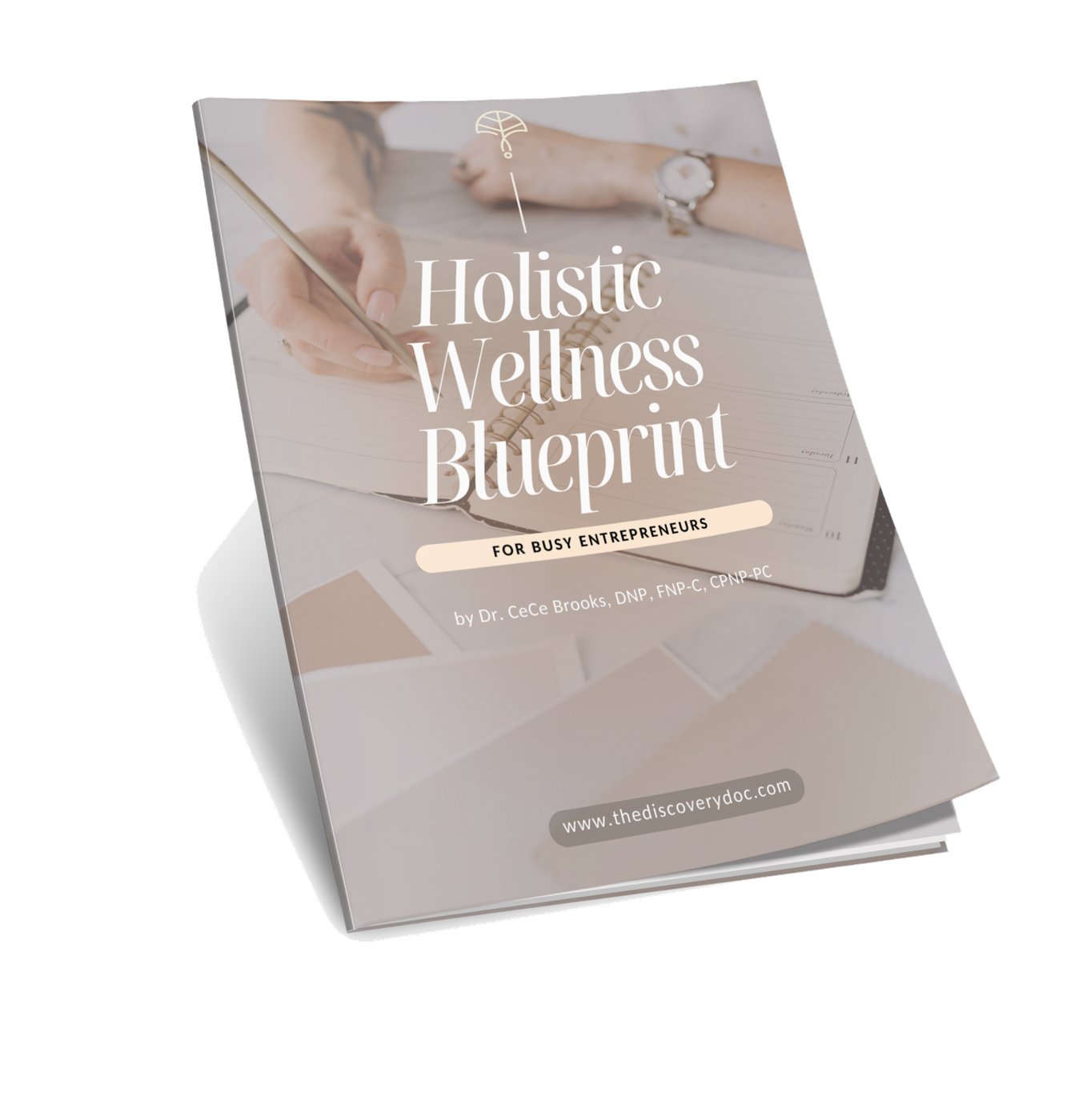 Holistic Wellness Blueprint for Busy Entrepreneurs
