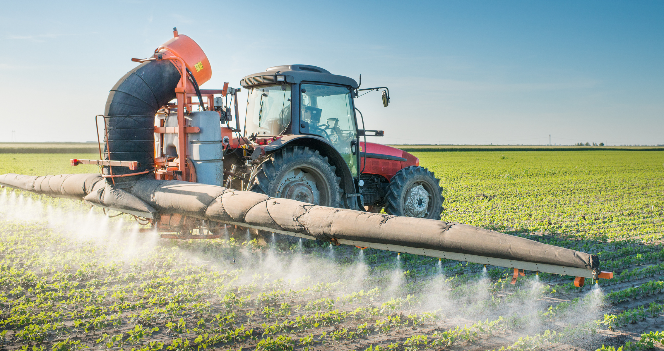 The Dangers of Atrazine